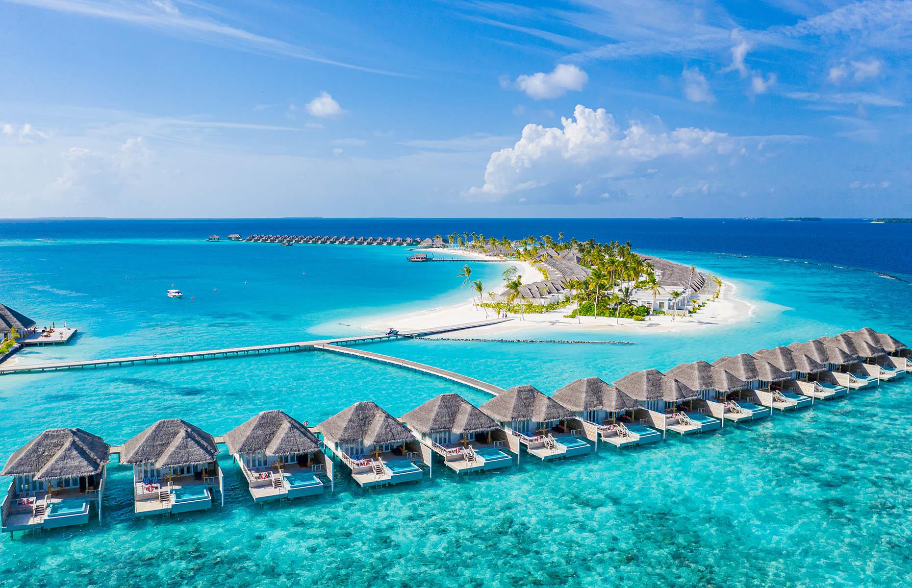 High-roller honeymoon